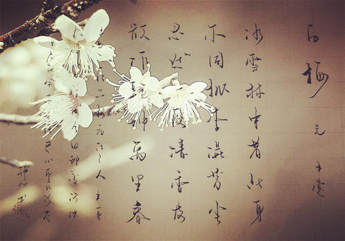 突然，我是卫生，我分散了。
