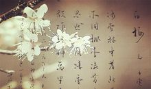 忽然一夜清香发，散作乾坤万里春