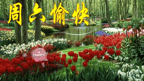 周末短信温暖的问候