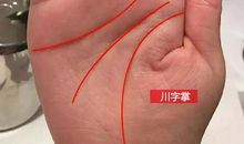 小孩的命运_350字