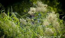 夏末秋初，那些往事……_2000字