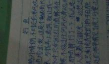 夸夸我的同学_350字