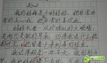 我的好兄弟_300字