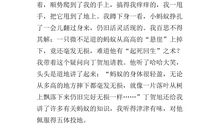 蒲丽“猪”_450字