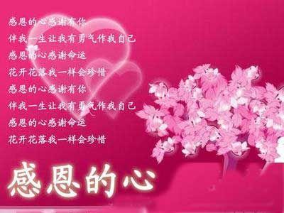 夫妇问候问候