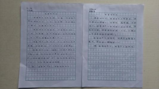 我的三个母亲_400字