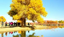 [超新星小学组]一首自强不息的生命赞歌_800字