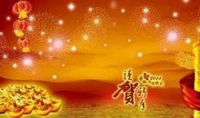 [新年祝福征文]展望新年_650字