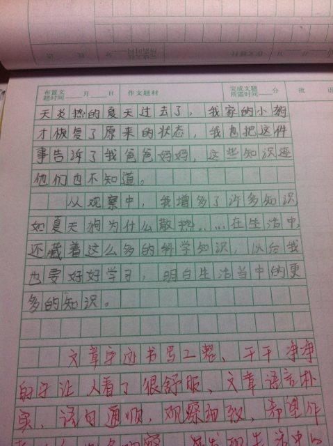 我是我自己_700字