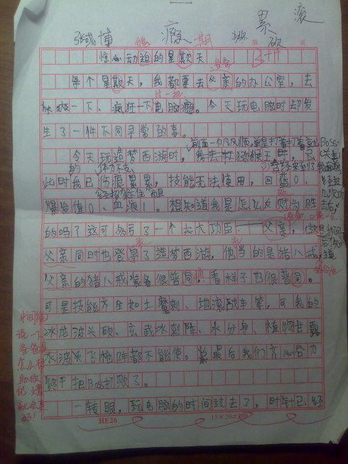 蔬菜城看_300字