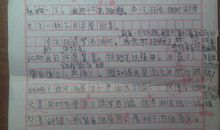 菜市见闻_300字