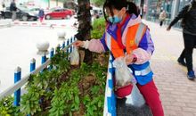 “小雷锋”柯昕怡_600字