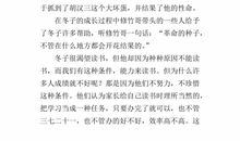 我看《闪闪的红星》_300字