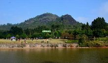 龟山公园的树_400字