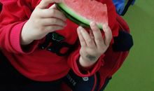 我最爱吃大西瓜_300字