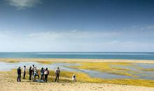 风景优美的青海湖_450字