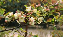 [春天来了]春风的话语_1500字