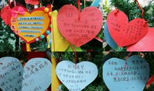 我的愿望_1500字