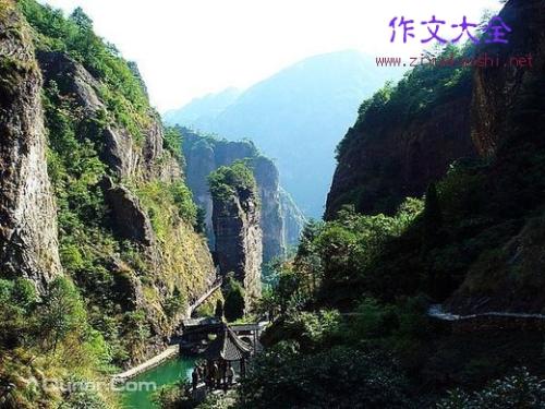 冒险组成：冒险社会Canyon_500字