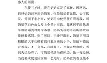 关于探险的作文：一个人的探险_700字