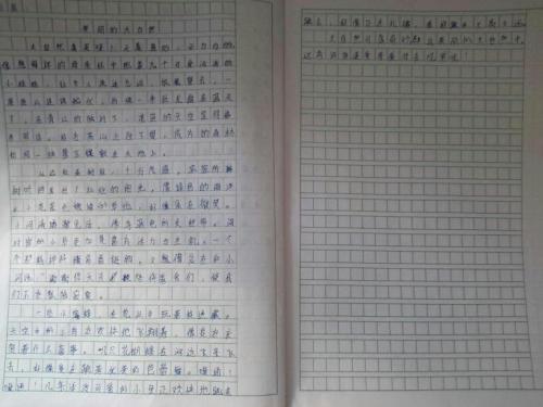 朋友_200字