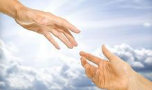 乐于助人的晶晶_450字