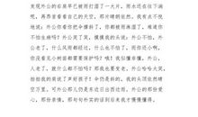 走在风雨中_1000字