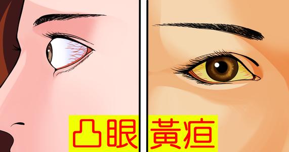 我们有一双杰出的“眼睛”_1200字