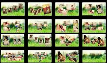 那些年的经典，那些年的青春_650字