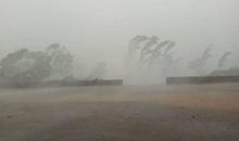 叙狂风而述暴雨_3000字