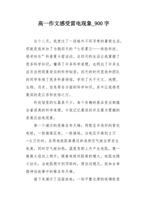 我的感受_900字
