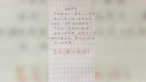 关于这篇文章：我的祖父在我的眼中_1000字