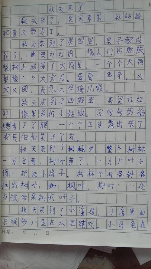 与爷爷的构成：祖父的葡萄_750字