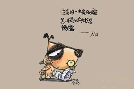 不幸的一天_600字