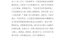 我最爱的人_600字