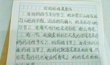 我的高中生活_800字