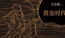 《黄金时代》读后感：由破鞋所引起的_1500字