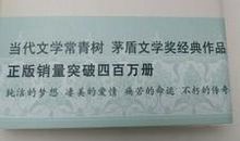 《穆斯林的葬礼》读后感：经典_1000字