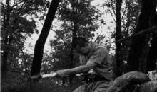 泯灭，回忆_250字