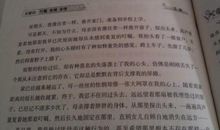 关于外公的作文：感受亲情_550字