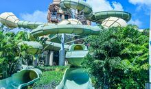 “水王国”灭亡记_1000字