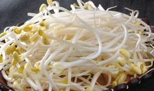 我发现了豆芽成长的秘密_750字