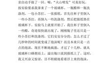 一次小实验_400字