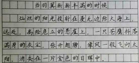 我们的老师_550字