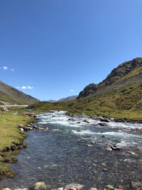 时间是春天，流水_250字