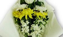 来自天堂的一封信_700字