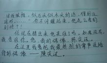 我最喜欢的一张照片_400字