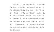 做饭小能手_600字