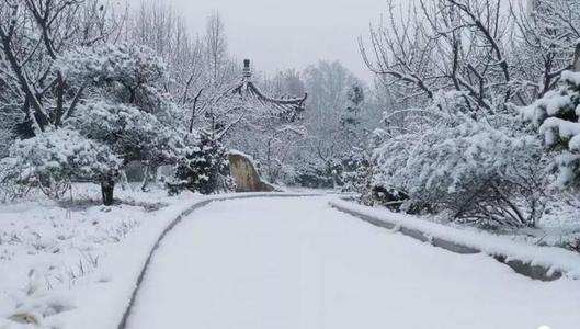 “雪……”