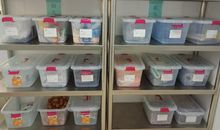 致高三默默无闻的你_900字